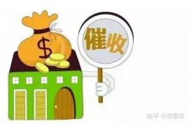 天津天津的要账公司在催收过程中的策略和技巧有哪些？